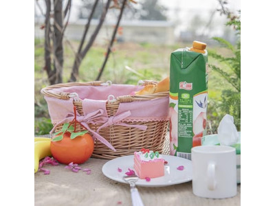 बुना हुआ लकड़ी चिप पिकनिक टोकरियाँ टोकरी अंतरराष्ट्रीय फोल्डिंग भंडारण